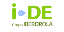 iDE